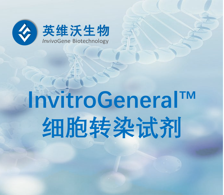 通用型轉染試劑